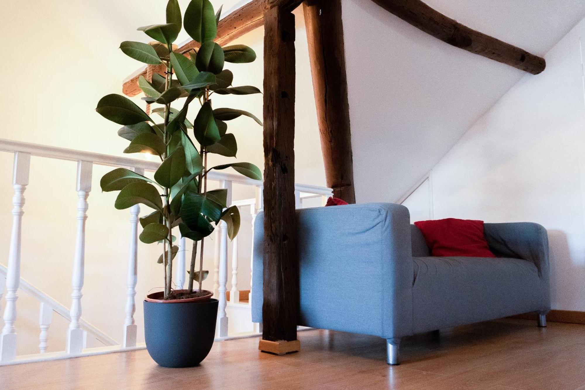 Apartamento São Paulo Penthouse